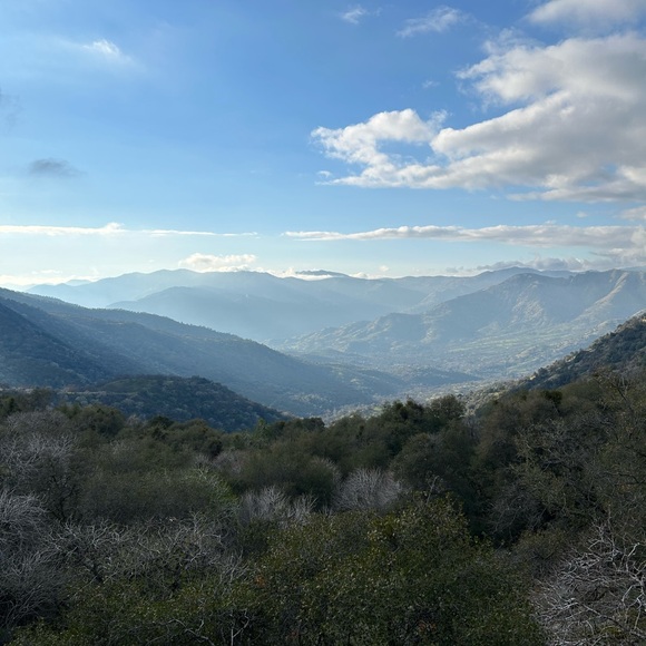 Meet your Posher, Rafael - Picture 4 of 4